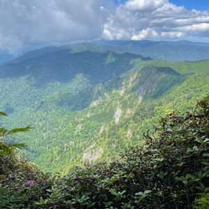 Meet your Posher, Lixiang